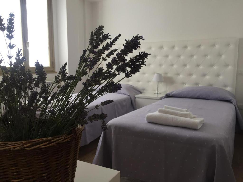 Itaka Bed & Breakfast L'Aquila Ngoại thất bức ảnh